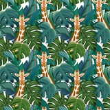 Rawlins Giraffe Wallpaper