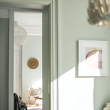 Little Knights - Salix Alba White Willow Leaf Green - Matte/Eggshell/Silk/Satin/Gloss Interior Paint