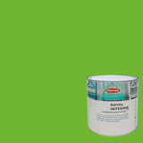 Lime Green - Royal Interior Paint