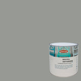 Smokey Grey - Royal Interior Paint