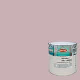 Winter Sky - Royal Interior Paint