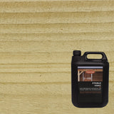 Clear - Stable Coat Paint