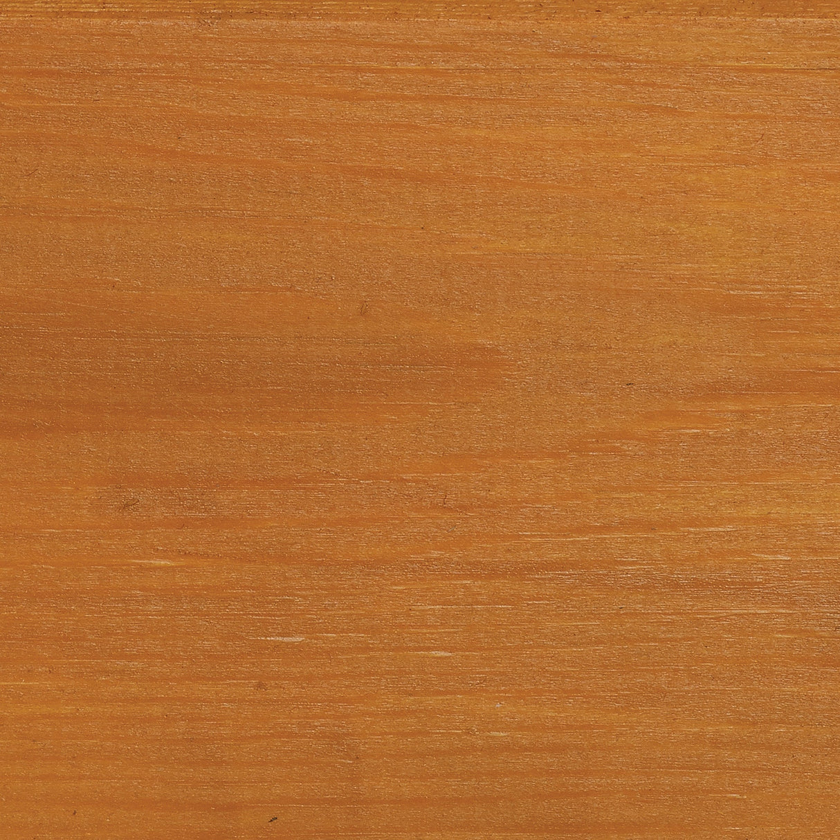 Gold - Wood Stain & Protect