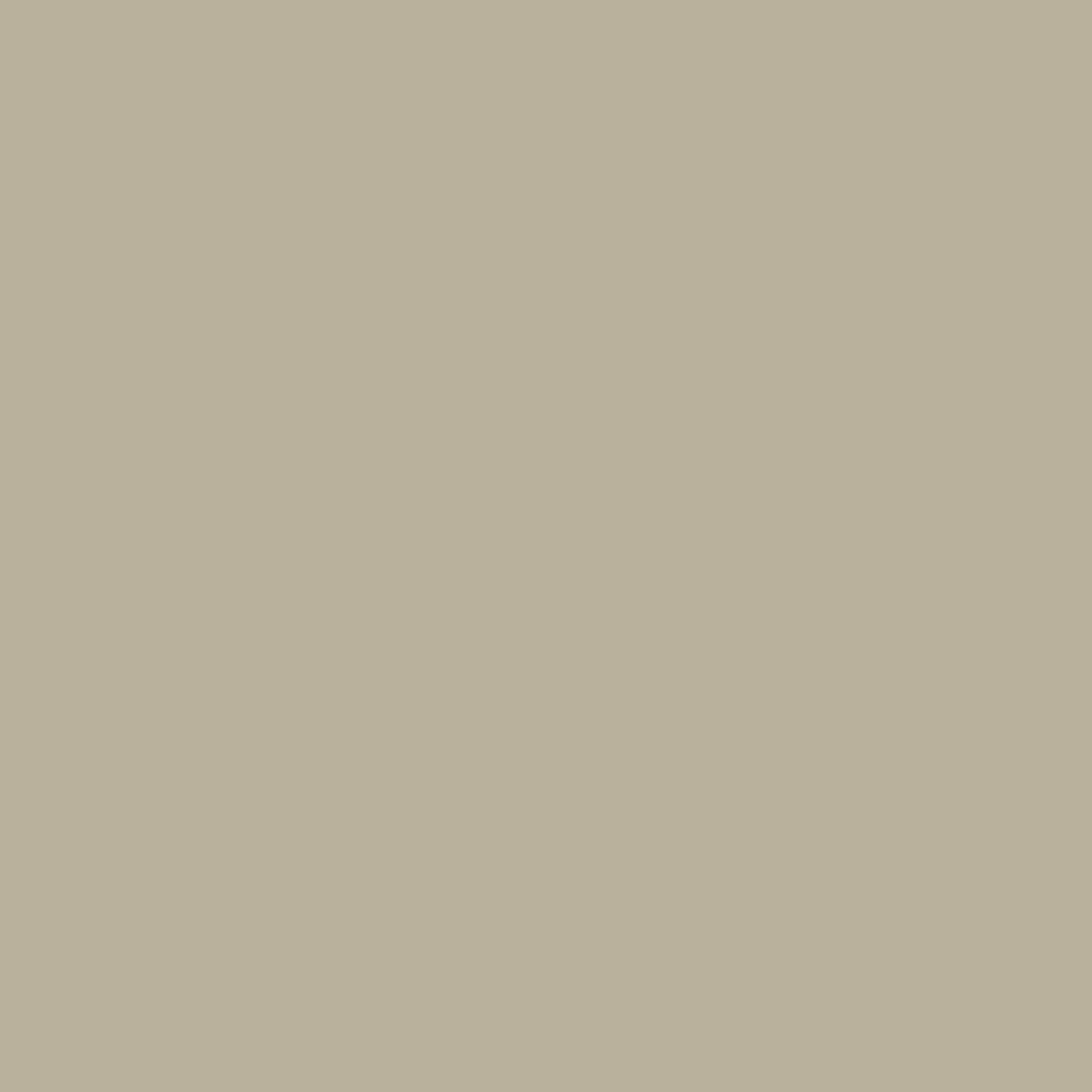 Nude Taupe - Royal Interior Paint