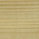 Clear - Stable Coat Paint