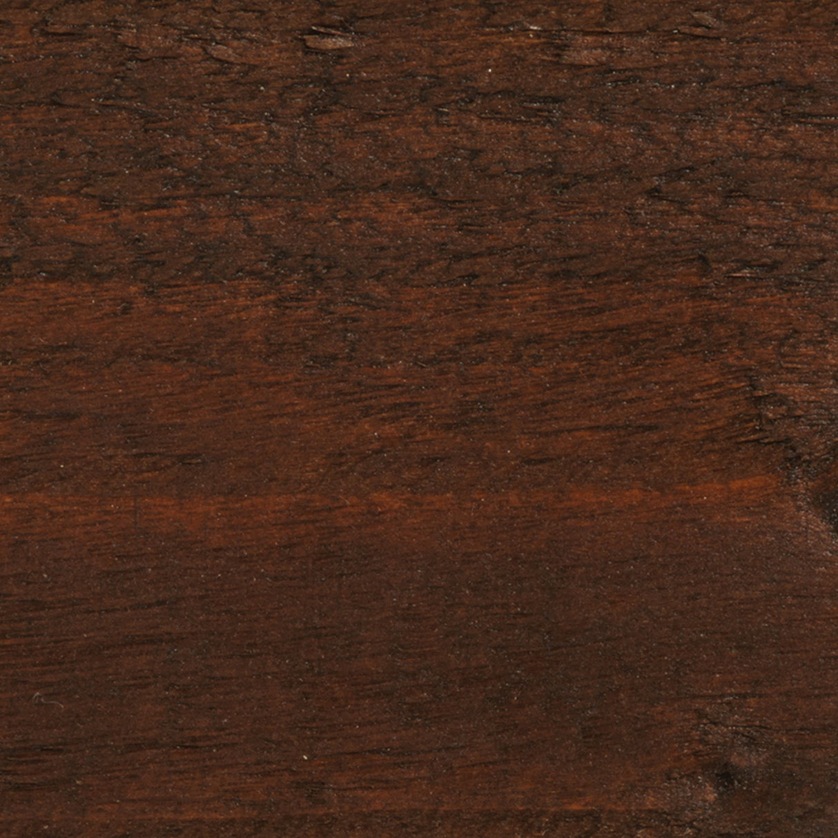 Golden Brown - Stable Coat Paint