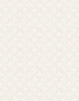 Shell Intricate Enticing Wallpaper