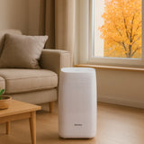 T8 Plus Dehumidifier for Bedrooms, Kitchens and Living Rooms: 2000ml per Day Dehumidifier