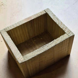 Table display planter