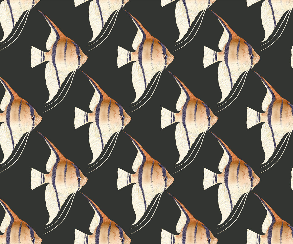 Tetra Make Statement Brilliant Fish Wallpaper