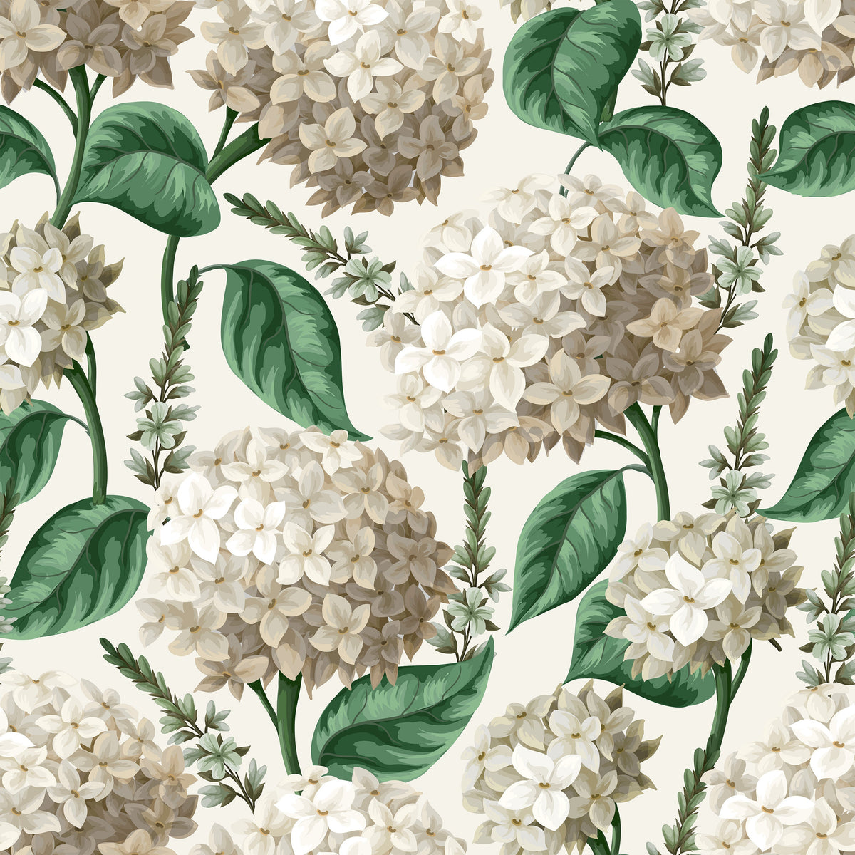 Vedder Hydrangea Wallpaper