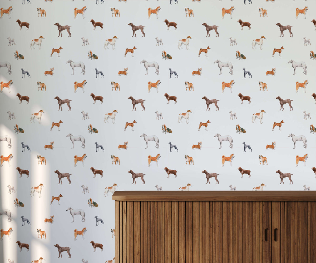 Walter Introducing Charming Dog Wallpaper