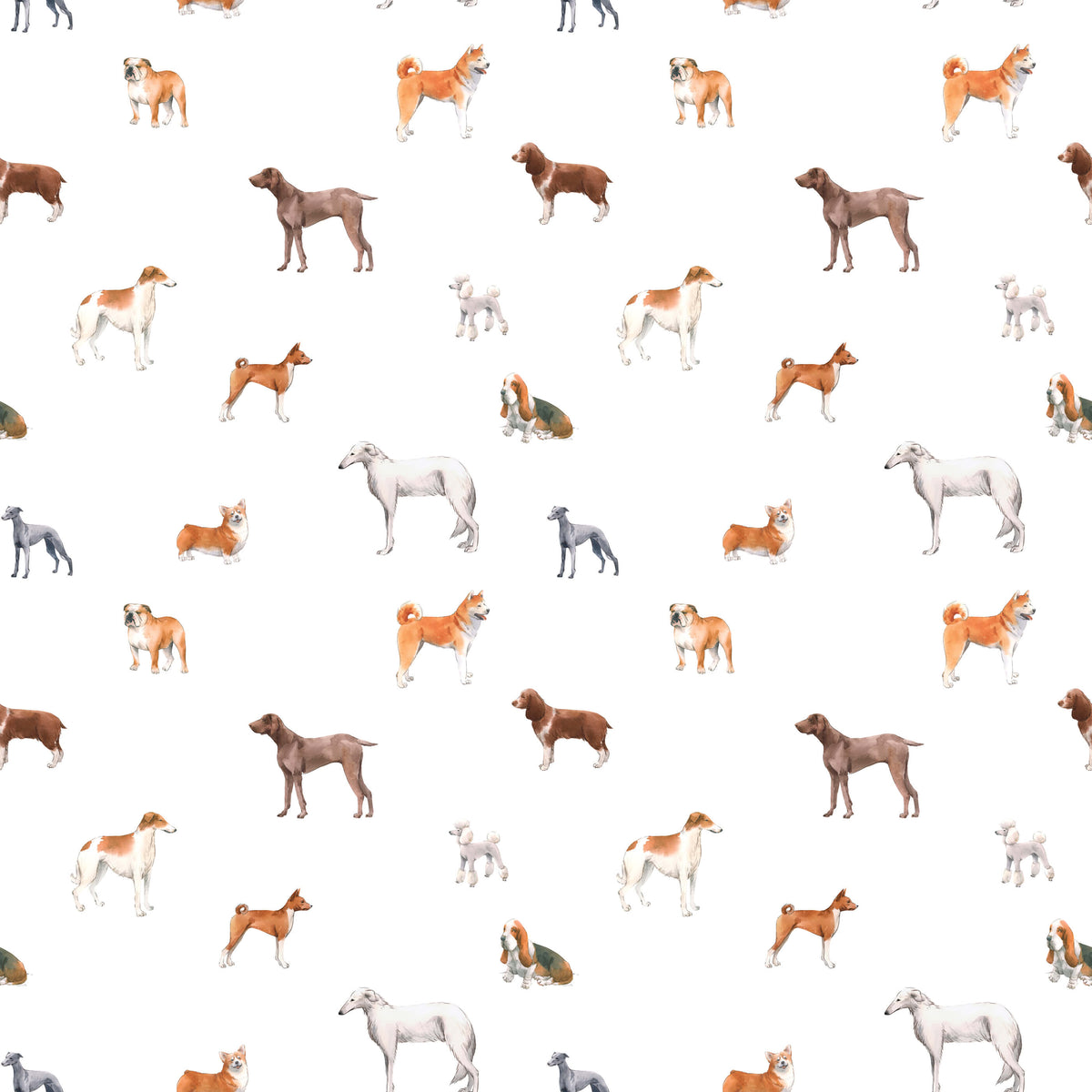 Walter Introducing Charming Dog Wallpaper