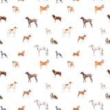 Walter Introducing Charming Dog Wallpaper