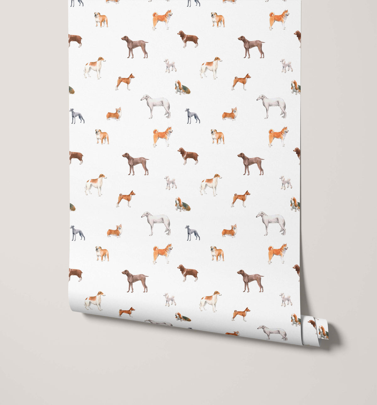 Walter Introducing Charming Dog Wallpaper