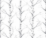 Birch Element Outdoors Your Forest Wallpaper