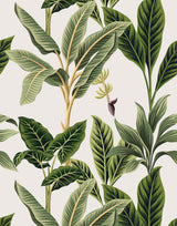 Flora Turn Your Vintage Paradise Wallpaper