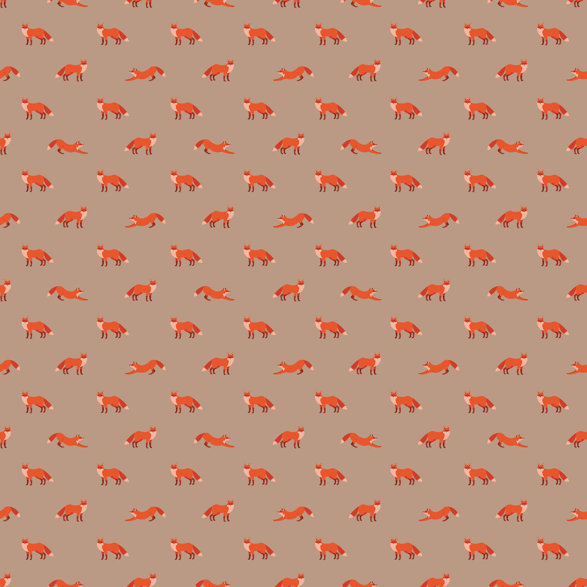 Wiley Introducing Enchanting Fox Wallpaper