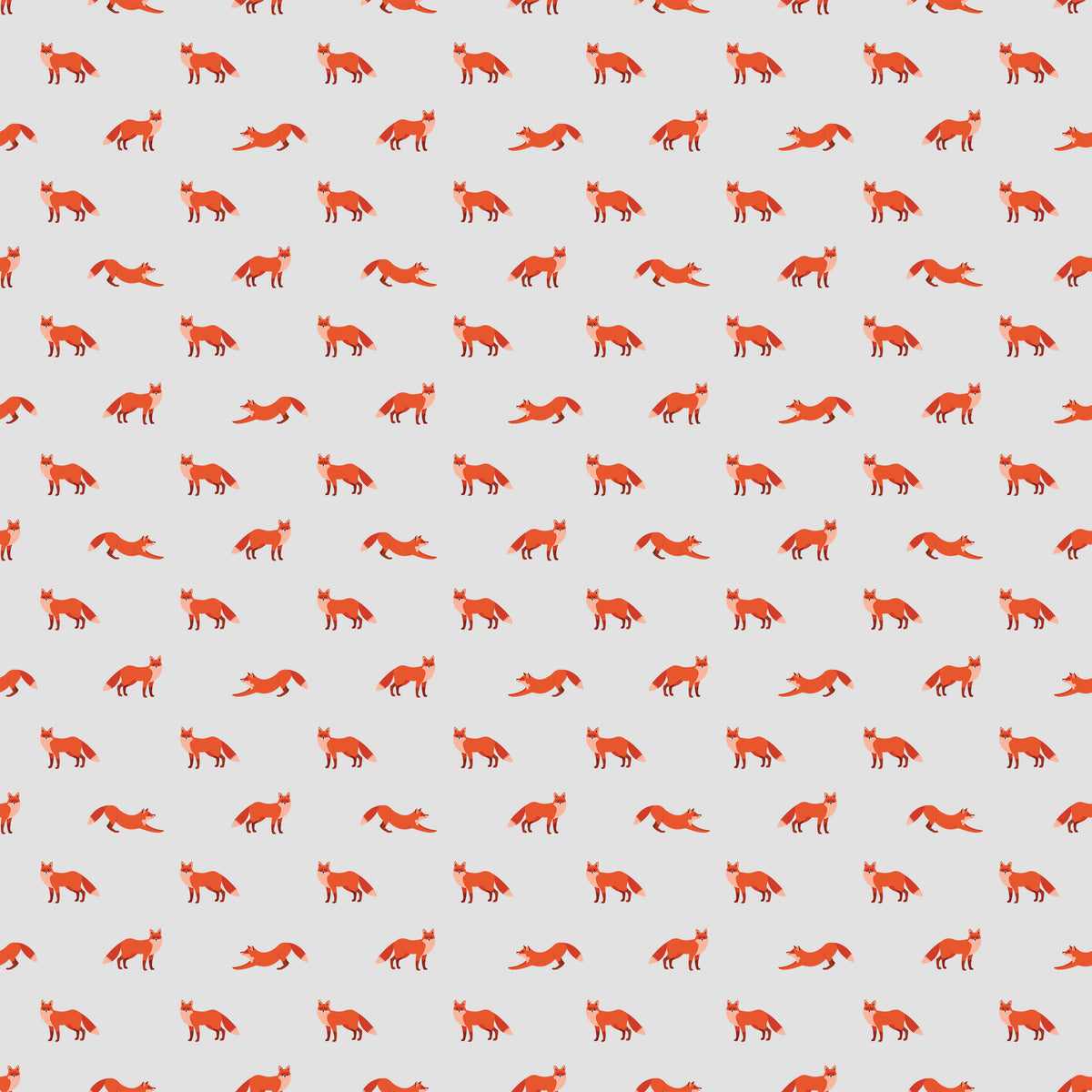 Wiley Introducing Enchanting Fox Wallpaper