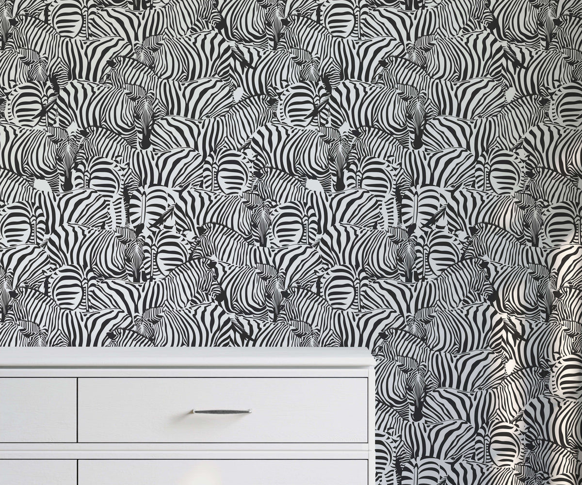 Zolta Zebra Wallpaper