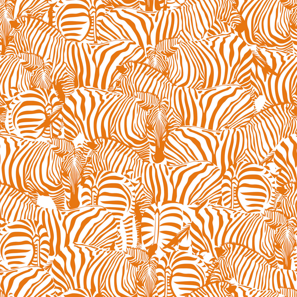 Zolta Zebra Wallpaper