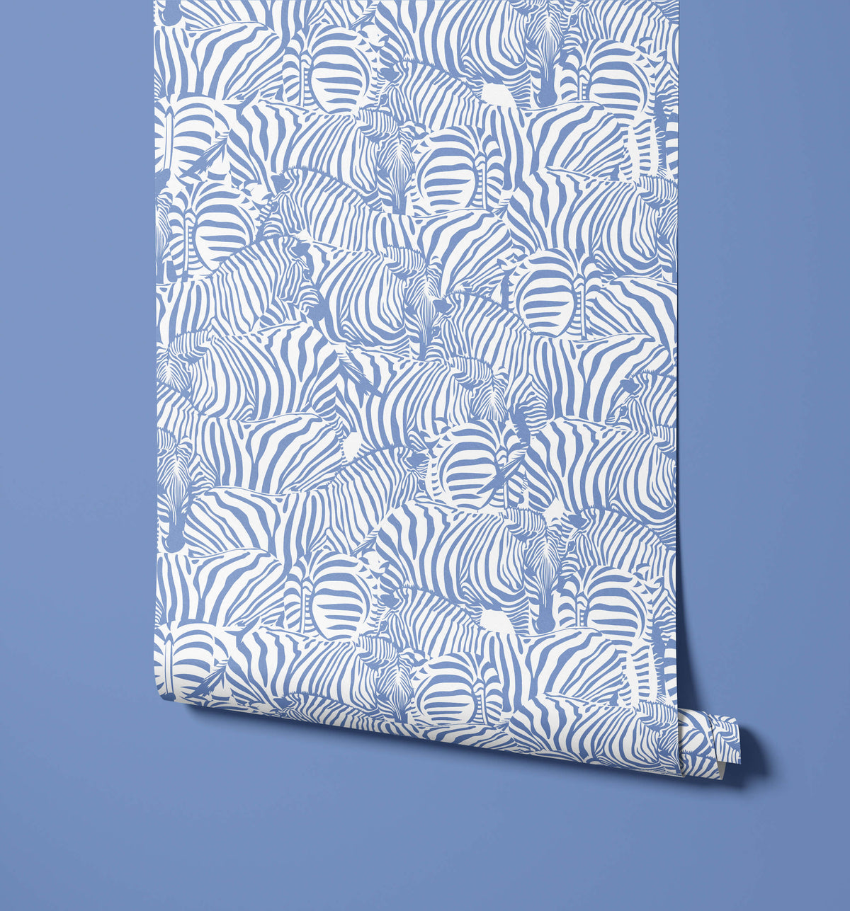 Zolta Zebra Wallpaper
