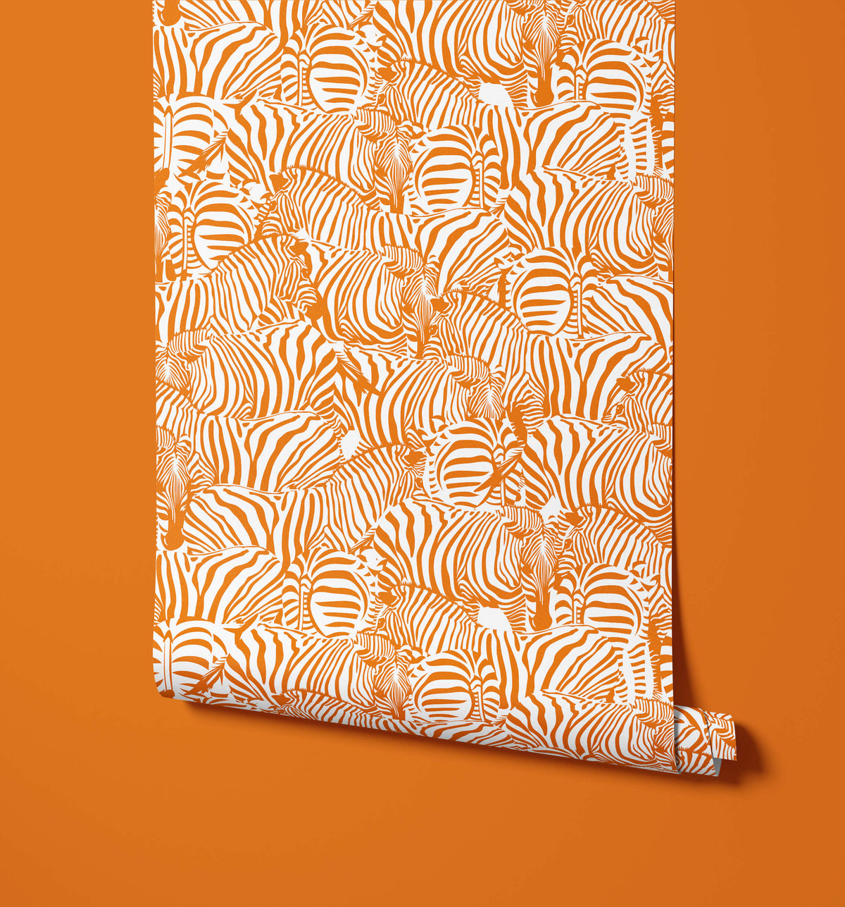 Zolta Zebra Wallpaper