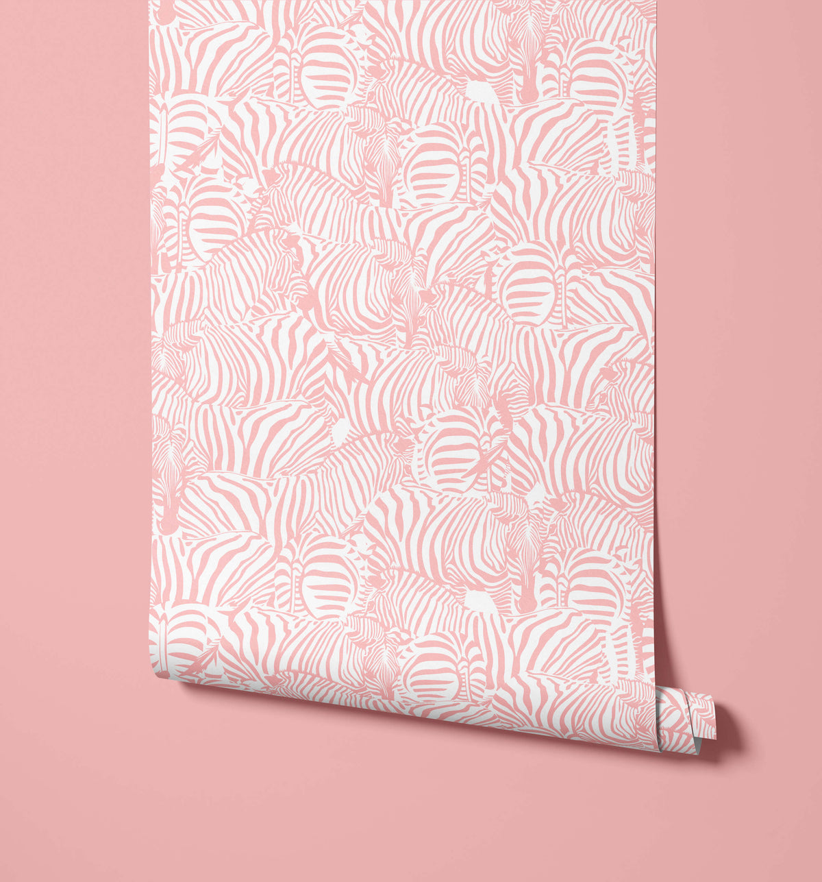 Zolta Zebra Wallpaper