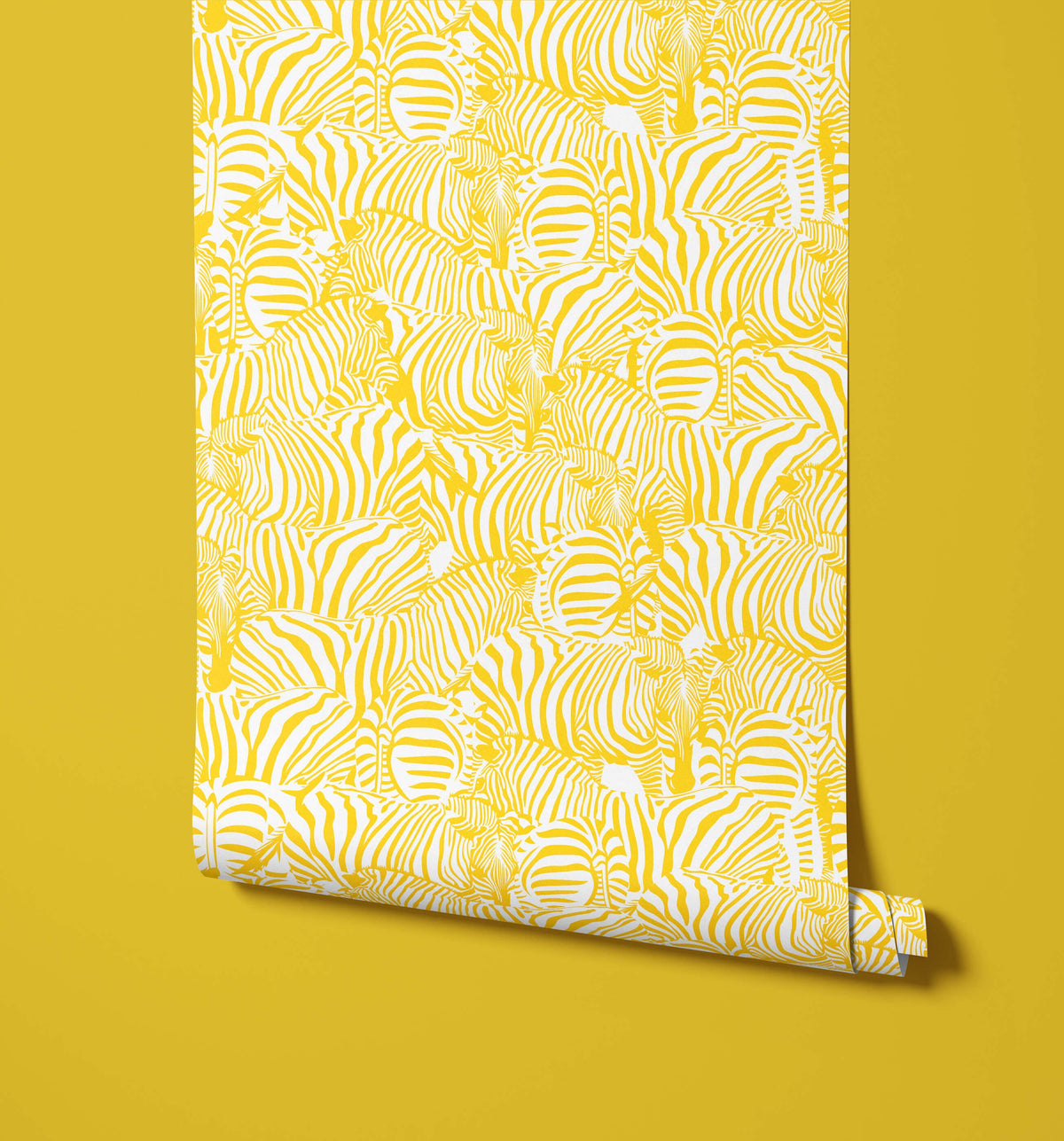 Zolta Zebra Wallpaper