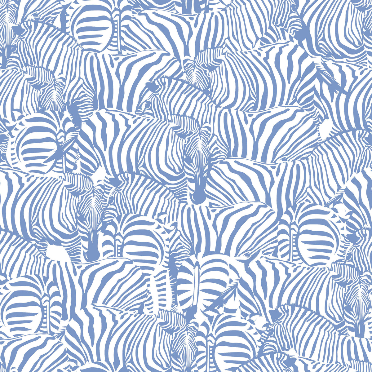 Zolta Zebra Wallpaper