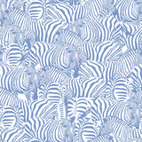 Zolta Zebra Wallpaper