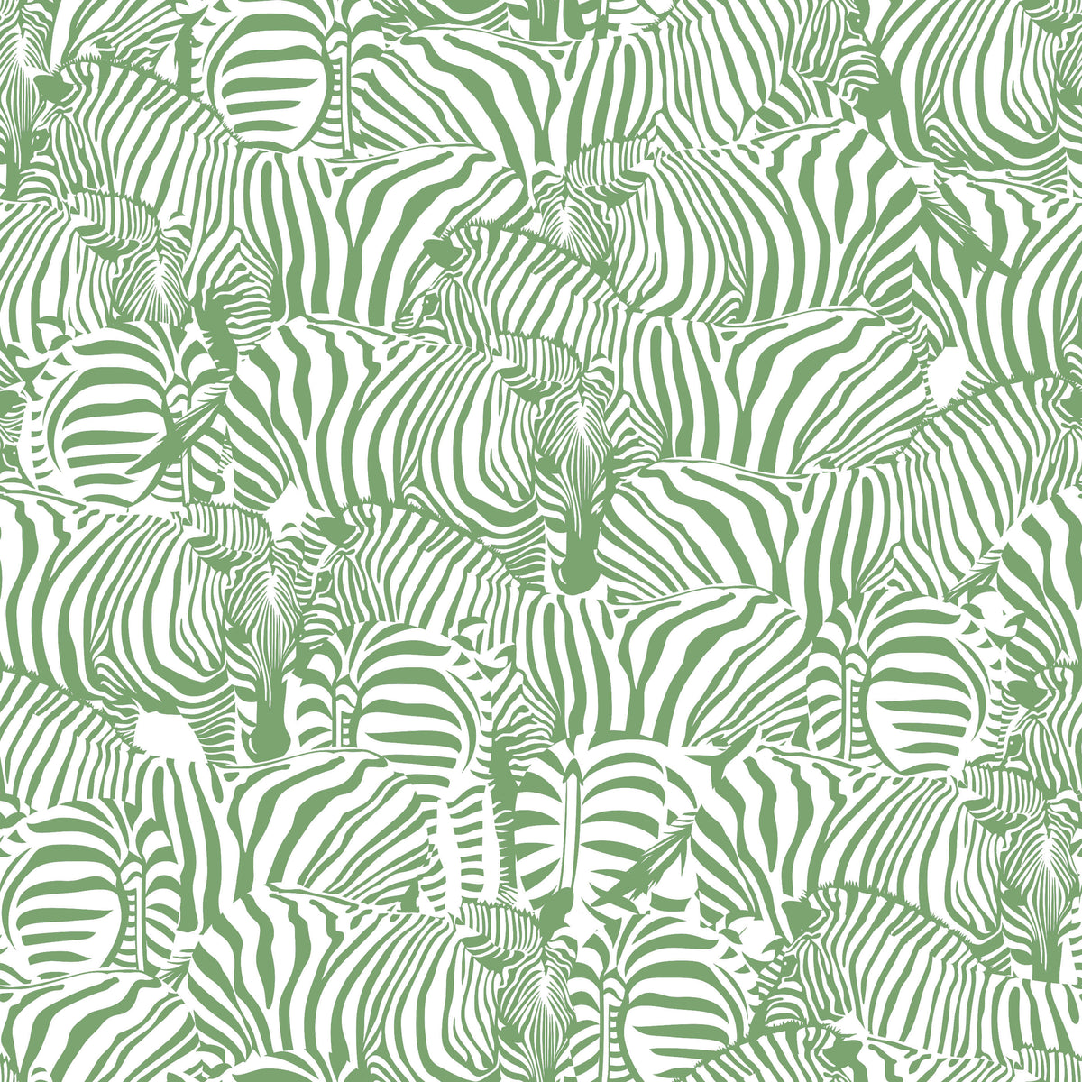 Zolta Zebra Wallpaper