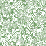 Zolta Zebra Wallpaper