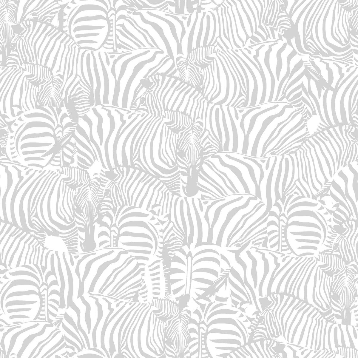 Zolta Zebra Wallpaper
