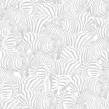 Zolta Zebra Wallpaper