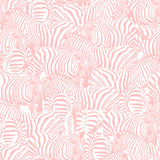 Zolta Zebra Wallpaper