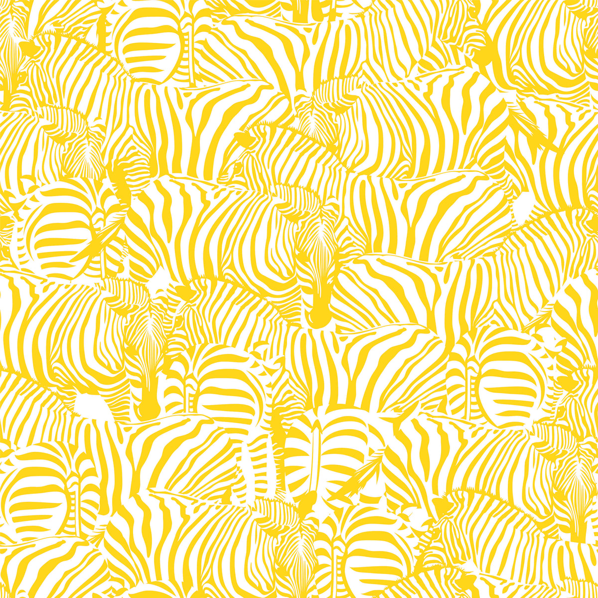 Zolta Zebra Wallpaper