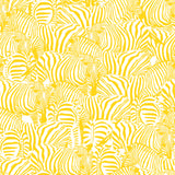 Zolta Zebra Wallpaper
