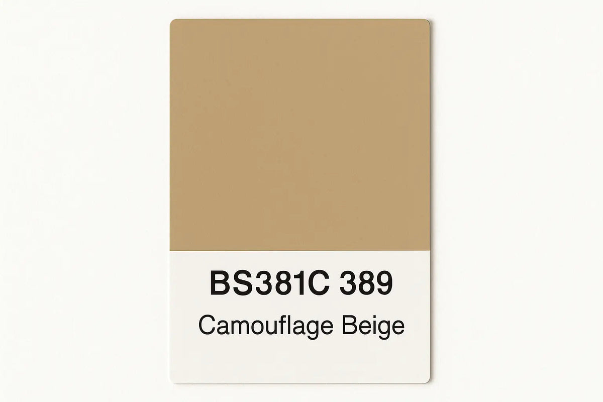 381C 389 Camouflage beige 400ml Aerosol Available in any Finish