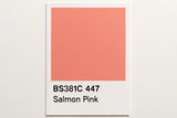 381C 447 Salmon pink 400ml Aerosol Available in any Finish
