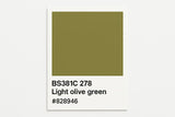 381C 278 Light olive green 400ml Aerosol Available in any Finish