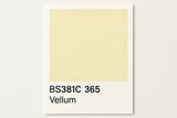 381C 365 Vellum 400ml Aerosol Available in any Finish