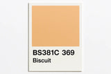 381C 369 Biscuit 400ml Aerosol Available in any Finish