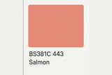 381C 443 Salmon 400ml Aerosol Available in any Finish