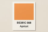 381C 568  Apricot 400ml Aerosol Available in any Finish