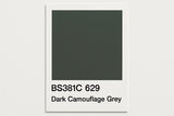 381C 629 Dark camouflage grey 400ml Aerosol Available in any Finish