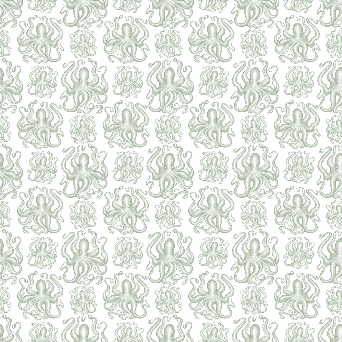 Crede Your Captivating Allure Octopus Wallpaper