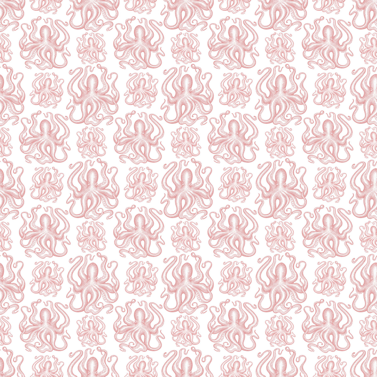 Crede Your Captivating Allure Octopus Wallpaper