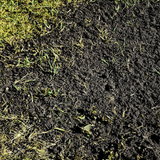 Green Again™ Lawn Reviver