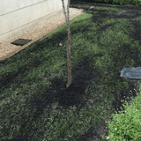 Green Again™ Lawn Reviver